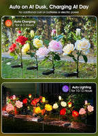 Brightown Outdoor Solar Garden Lights - Image 2