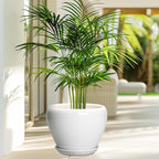 Ceramic Pot for Plants - Image 4