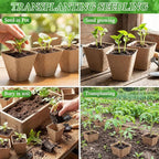 120 Pcs Square Peat Pots for Seedlings - Image 4