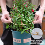 5PCS Durable Monstera Plant Stem Support Stake - Image 4