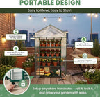 4 Tier Mini Greenhouse - Image 3