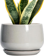 G EPGardening Ceramic Plant Pots by GEPGardening