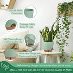 montresor 5 Pack Green 5/5.5/6/6.5/7 Inch Self Watering Planters - Image 5