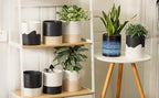 Nihow Self Watering Plant Pot: 6 Inch Ceramic Planter - Image 8