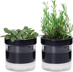 Phoenix Vine 4 Inch Self Watering Planter Pot by Phoenix+Vine