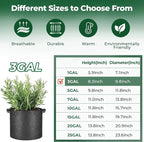 T4U 3 Gallon Grow Bags, Upgrade Grow Bags - Image 5