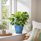 6 Inch Ceramic Plant Pot - Image 6