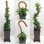 2 Pack Moss Pole, 28 Inch Bendable Moss Pole - Image 7