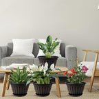 FGstyle 10 Inch Plants Pot, 4 Pack Flower Pots, Planters Pot - Image 6