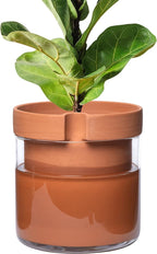 Phoenix Vine 10 Inch Self Watering Planter Pot, Terracotta Clay Pot by Phoenix+Vine