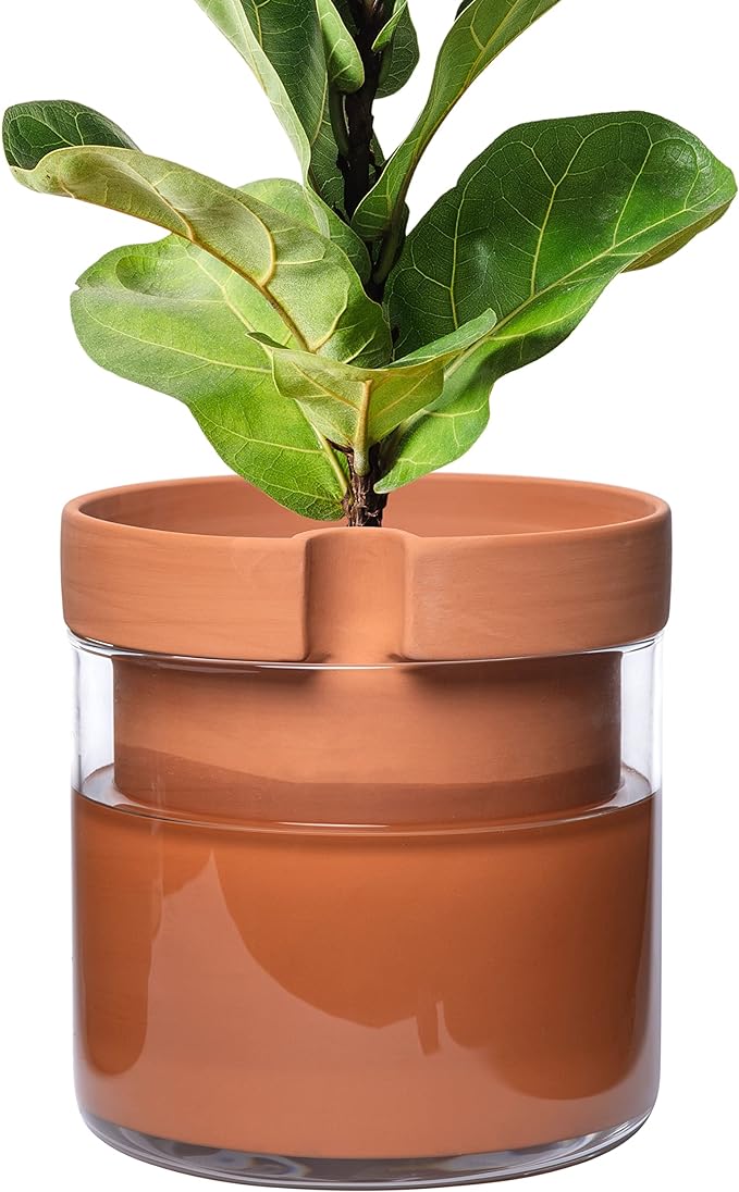 Phoenix Vine 10 Inch Self Watering Planter Pot, Terracotta Clay Pot by Phoenix+Vine