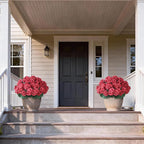 2 Pack Artificial Geranium Flowers Topitary Trees - Image 3