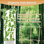 10 Pack 3ft Bamboo Trellis for Climbing Plants - Image 3