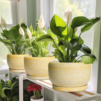 SQOWL Ceramic Flower Pots - Image 6