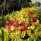Artificial Flowers for Outdoor, UV Resistant Fake Silk Flowers, Realistic Faux - Image 4
