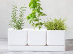 D'vine Dev Herb Garden Planter Set, Plastic Plant Pots - Image 7