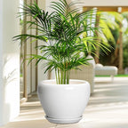 Ceramic Pot for Plants - Image 4