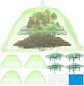 4 Sets Strawberry Plant Support by NODMIPNS