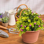 VIDELLY 4 Pcs Hanging Planters for Indoor Plants - Image 6