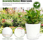 Plant Pots 8 Inch Self Watering Pots, 2 Pack Plastic Planters - Image 7