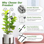 2 Pack 30 Inch Taller Plant Trellis - Image 4