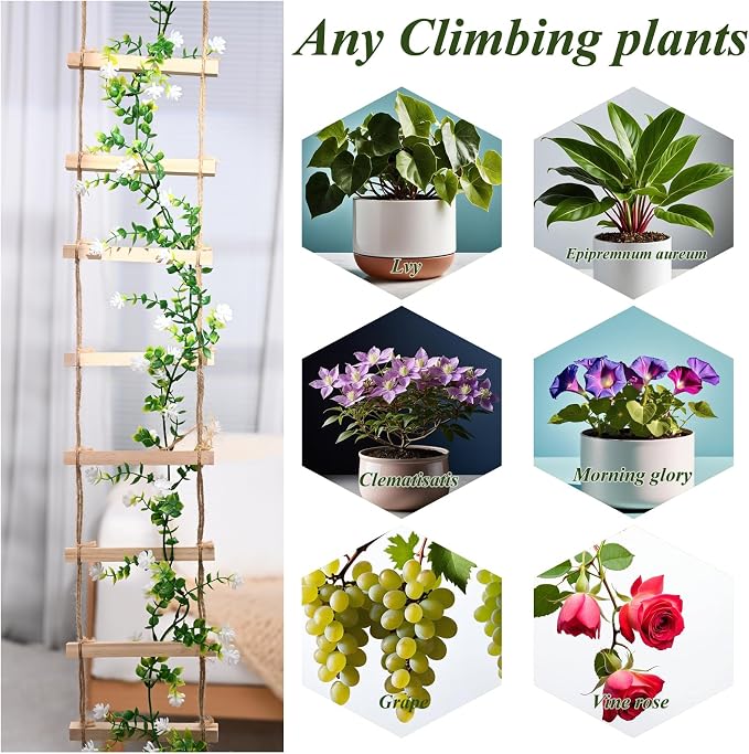 Sturdy Climbing Plants Trellis - Image 7