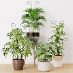 Larger 23.6in Taller Plant Trellis - Image 2