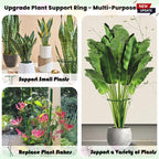10-Pack Adjustable Height Snake Plant Support Stakes- Sturdy, Rust-Resistant - Image 7