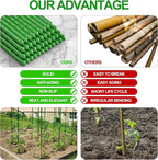 WAENLIR Garden Stakes 72 inch 6ft Sturdy Tomato Stakes, Plant Stakes - Image 5