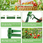 Riare 2 Pack 5.2 FT Tomato Cages - Image 4