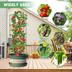 MQUPIN Tomato Cages, 3 Packs Square Tomato Cage - Image 7