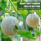Trellis Netting, Garden Trellis Netting - Image 5