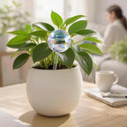 Extra-Thick Clear Glass Plant Watering Globes, Rainbow Gradient Self Watering - Image 2