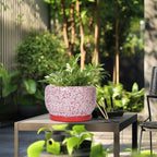 SQOWL Ceramic Planters for Indoor Plants - Image 5