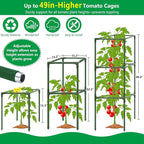 3 Set Square Tomato Cages with 18 Gallon Grow Bags, Plant Support Tower Stakes - Image 5