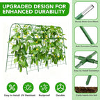 Cucumber Trellis for Raised Bed, U-Shape Garden Trellis for Climbing Plants - Image 2