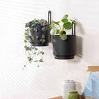 2 Pcs Wall Mounted Hanging Planter Vase - Image 4
