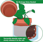 Phoenix Vine 6 Inch Self Watering Planter Pot, Terracotta Clay Pot - Image 4