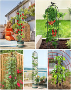 6.2ft Garden Obelisk Trellis for Climbing Plants Rustproof Metal Pipe - Image 7