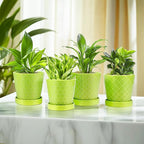 EFISPSS 5 Inch Ceramic Plant Pots Indoor, Planters - Image 6