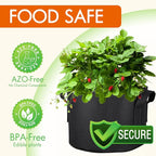 Gardzen 10-Pack 5 Gallon Grow Bags, 300G Thickened Aeration Fabric Pots - Image 6
