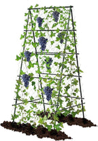 Garden Trellis for Climbing Plants, A-Shape Garden Plant Support Frame for by AlisisFores