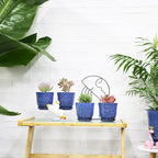 Gepege Succulent Pots, 4 Inch Small Indoor Ceramic Planter Pot - Image 5