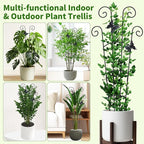 4 Pack 30 InchTaller Plant Trellis - Image 7