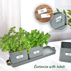volila Herb Planter Indoor - Image 3