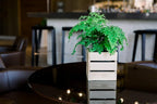 Wood Planter Box with Wine Crate Styled, 5 Inch Square, Rose Wood, Plastic Liner - Image 8