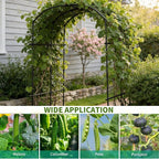 DoCred Tall Garden Arch Trellis - Image 6