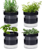 Phoenix Vine 4 Inch Self Watering Planter Pot by Phoenix+Vine