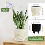 Dexceder 11x10 Inches Self Watering Planter Indoor Outdoor, Inner Pot Design - Image 2