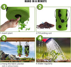 2 Pack Black and Green Upside Down Tomato & Herb Planter, Hanging Durable - Image 6